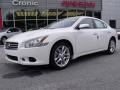 Winter Frost White - Maxima 3.5 SV Photo No. 1