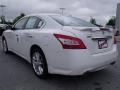Winter Frost White - Maxima 3.5 SV Photo No. 3