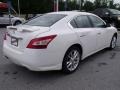Winter Frost White - Maxima 3.5 SV Photo No. 5