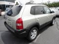 2007 Desert Sage Metallic Hyundai Tucson SE 4WD  photo #7