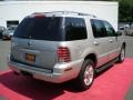 Silver Birch Metallic - Mountaineer Premier AWD Photo No. 6
