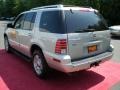 Silver Birch Metallic - Mountaineer Premier AWD Photo No. 8