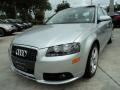 Light Silver Metallic - A3 3.2 quattro Photo No. 14