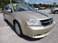 White Gold - Avenger R/T Photo No. 14