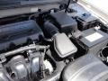Camel Pearl - Sonata GLS Photo No. 24