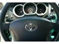 Titanium Metallic - 4Runner SR5 4x4 Photo No. 31