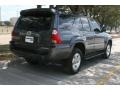 2009 Galactic Gray Mica Toyota 4Runner SR5  photo #3