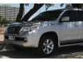 Tungsten Silver Pearl - GX 460 Photo No. 21