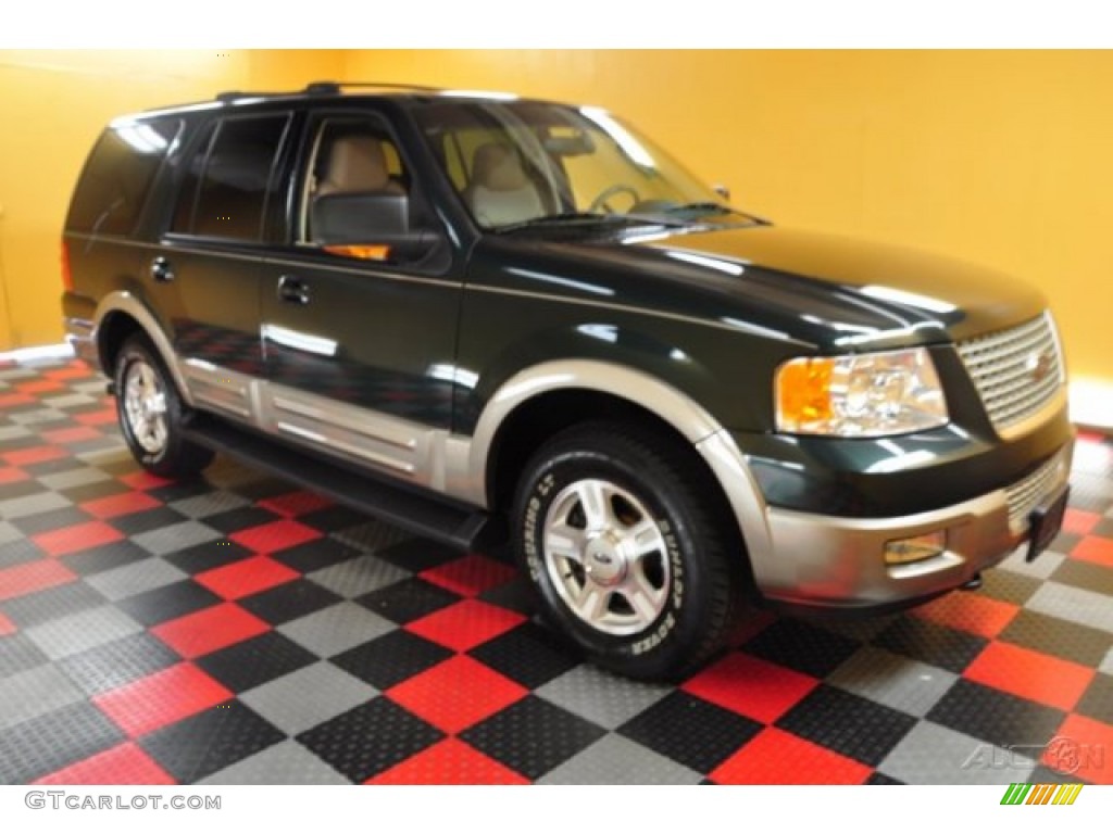 2003 Expedition Eddie Bauer 4x4 - Aspen Green Metallic / Medium Parchment photo #1