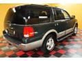 2003 Aspen Green Metallic Ford Expedition Eddie Bauer 4x4  photo #4