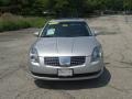 Liquid Silver Metallic - Maxima 3.5 SE Photo No. 3