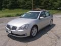 Liquid Silver Metallic - Maxima 3.5 SE Photo No. 20