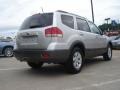 Bright Silver - Borrego LX V6 Photo No. 3