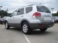 Bright Silver - Borrego LX V6 Photo No. 5