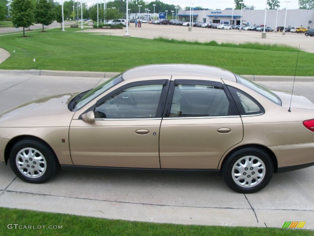 2002 L Series L200 Sedan - Medium Gold / Medium Tan photo #4