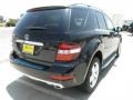 Black - ML 350 Photo No. 4