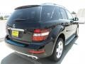 Black - ML 350 Photo No. 4