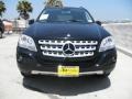 Black - ML 350 Photo No. 2