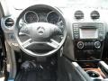 Black - ML 350 Photo No. 9