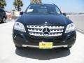 Black - ML 350 Photo No. 2