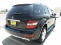 Black - ML 350 Photo No. 4