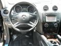 Black - ML 350 Photo No. 9