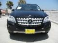Black - ML 350 Photo No. 2
