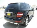 Black - ML 350 Photo No. 4