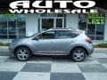 2009 Platinum Graphite Metallic Nissan Murano LE AWD  photo #1