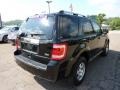 Black - Escape Limited V6 4WD Photo No. 4