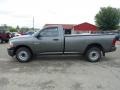 2010 Mineral Gray Metallic Dodge Ram 1500 ST Regular Cab 4x4  photo #2