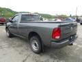 Mineral Gray Metallic 2010 Dodge Ram 1500 ST Regular Cab 4x4 Exterior