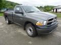 2010 Mineral Gray Metallic Dodge Ram 1500 ST Regular Cab 4x4  photo #7