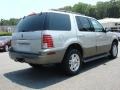 Silver Birch Metallic - Mountaineer AWD Photo No. 3