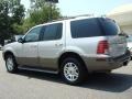 Silver Birch Metallic - Mountaineer AWD Photo No. 5