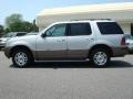 Silver Birch Metallic - Mountaineer AWD Photo No. 6