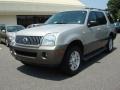 Silver Birch Metallic - Mountaineer AWD Photo No. 7