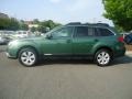 2010 Cypress Green Pearl Subaru Outback 2.5i Premium Wagon  photo #2