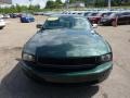 2008 Highland Green Metallic Ford Mustang Bullitt Coupe  photo #7