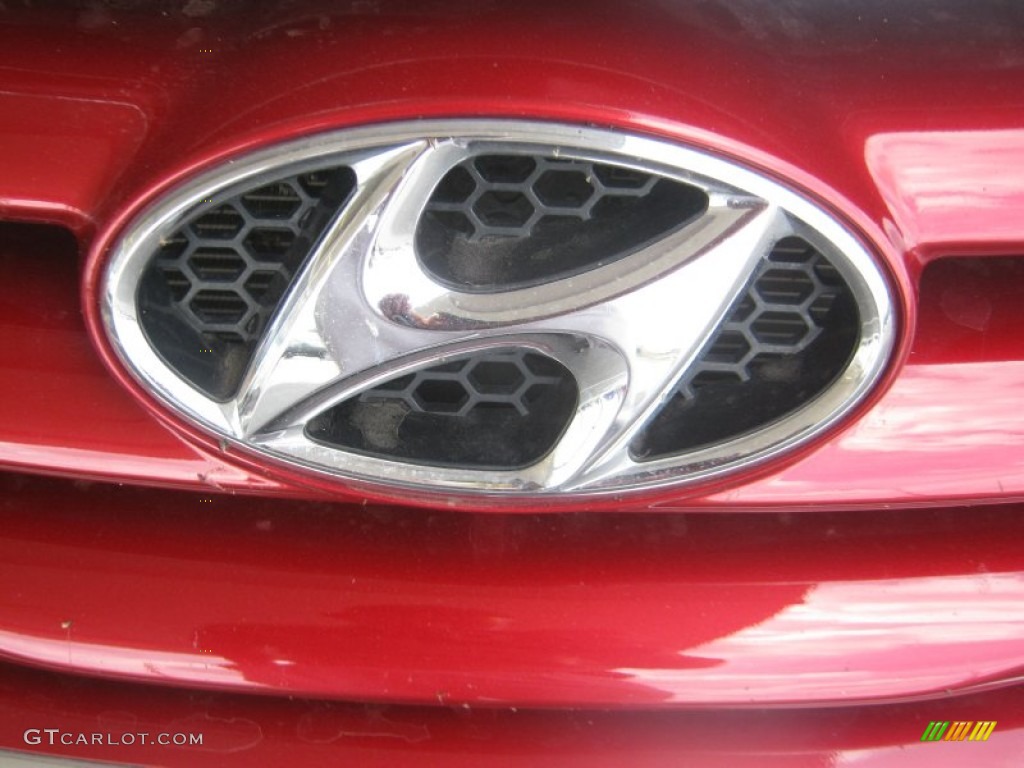 2011 Sonata GLS - Venetian Red / Camel photo #24