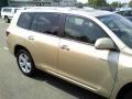 Sandy Beach Metallic - Highlander Limited 4WD Photo No. 21