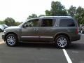 Silver Graphite Gray - QX 56 4WD Photo No. 20