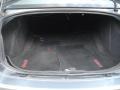 Silver Steel Metallic - Charger R/T Photo No. 13