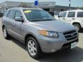 2007 Steel Gray Hyundai Santa Fe Limited 4WD  photo #21