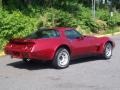 Cranberry - Corvette Coupe Photo No. 6