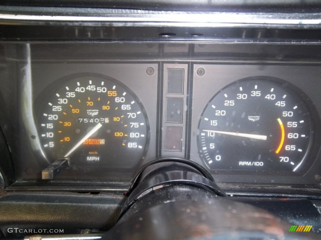1979 Chevrolet Corvette Coupe Gauges Photo #49959857
