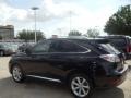 2010 Black Sapphire Pearl Lexus RX 350  photo #5