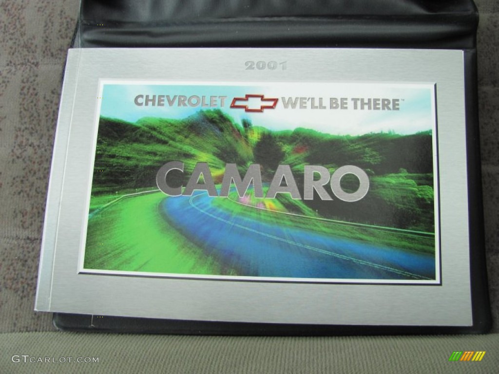 2001 Camaro Coupe - Dark Green Metallic / Neutral photo #4