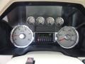 Chaparral Leather Gauges Photo for 2009 Ford F450 Super Duty #49966800