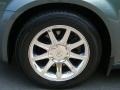 Magnesium Pearlcoat - 300 C HEMI Photo No. 11